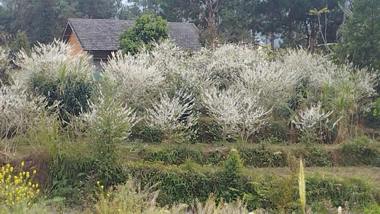 Huy homestay Ha Giang Luaran gambar