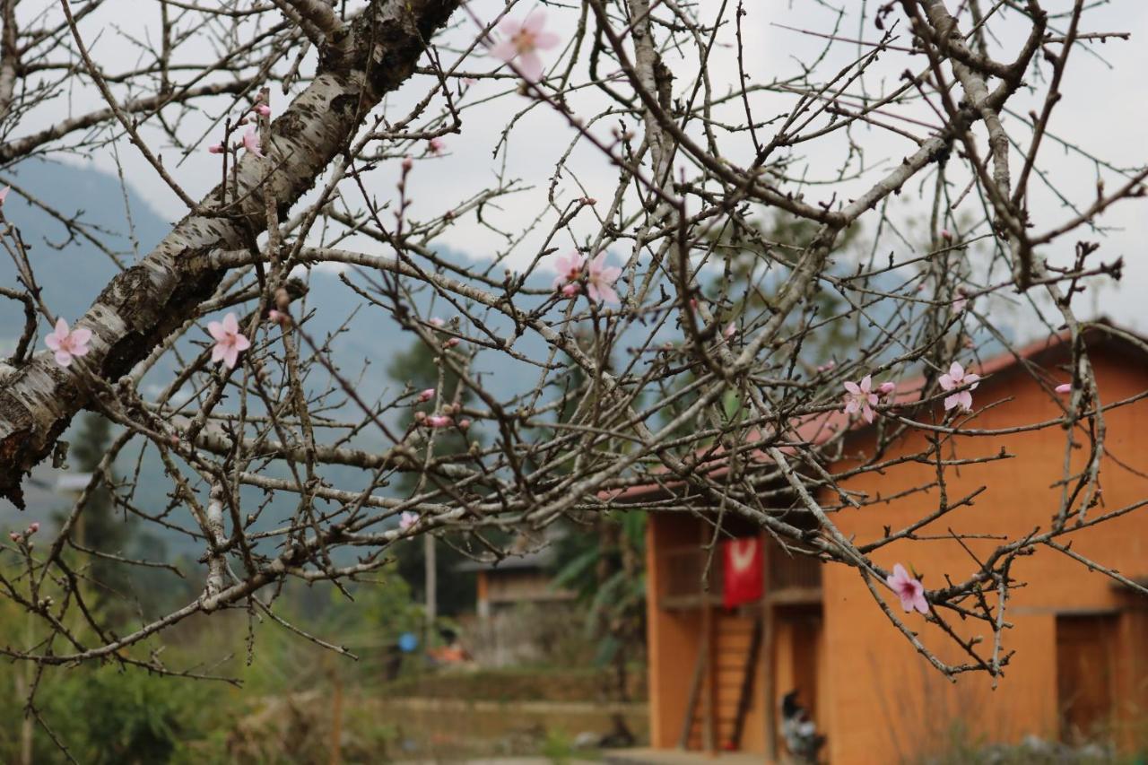 Huy homestay Ha Giang Luaran gambar