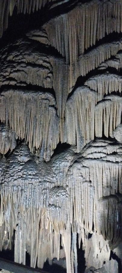 Huy homestay Ha Giang Luaran gambar