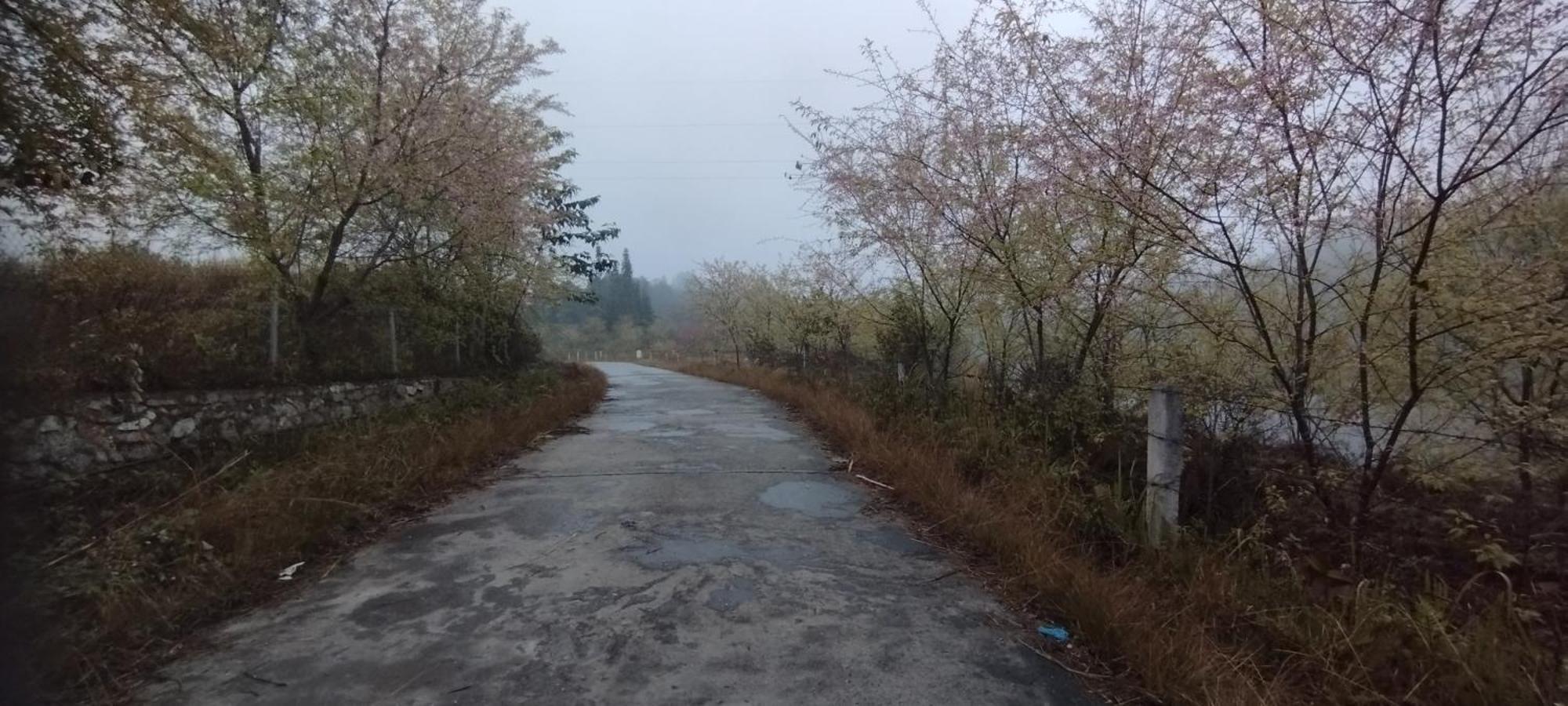 Huy homestay Ha Giang Luaran gambar
