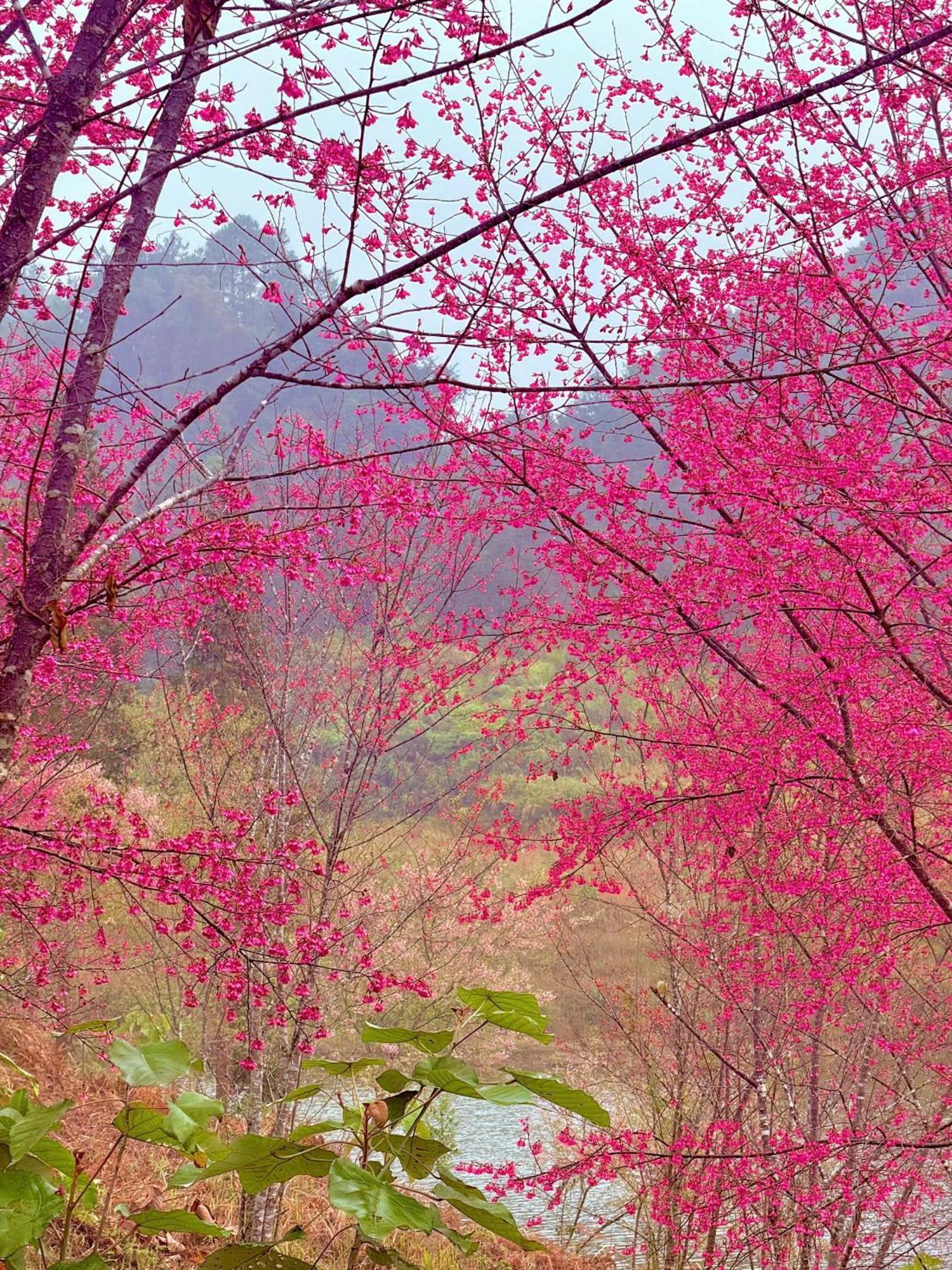 Huy homestay Ha Giang Luaran gambar